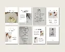 00008_DesignVorlage_Canva_ELAINE_Web.webp