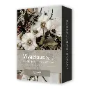 Lightroom Presets: VIVACIOUS 2022